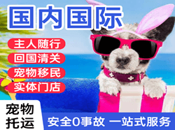 百色巴马航空货运国际宠物托运 【国